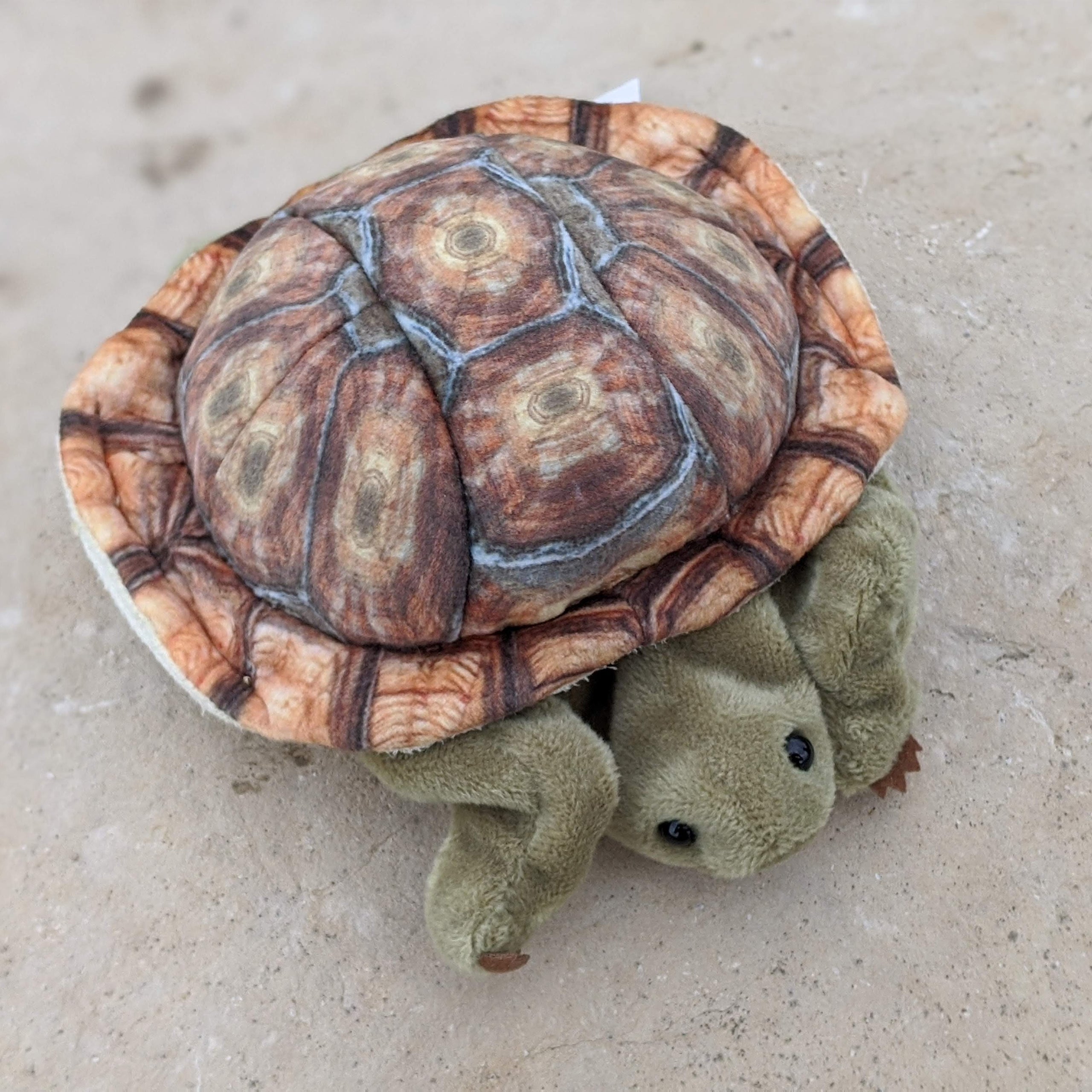 Tortoise finger puppet sale